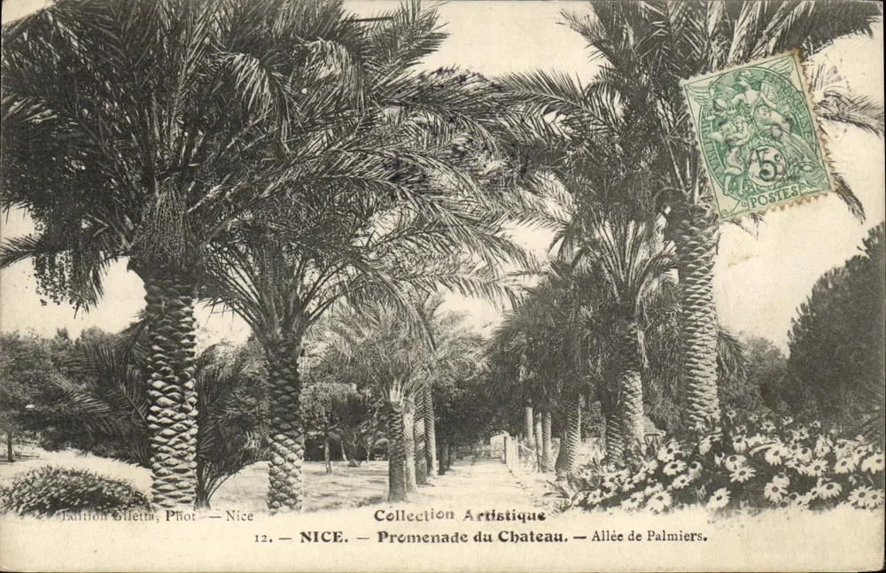 NICE — Promenade du Château — Allée de Palmiers — Künstlerische Sammlung — Bultion Gilletta, Fot. — Nice - Vorderseite