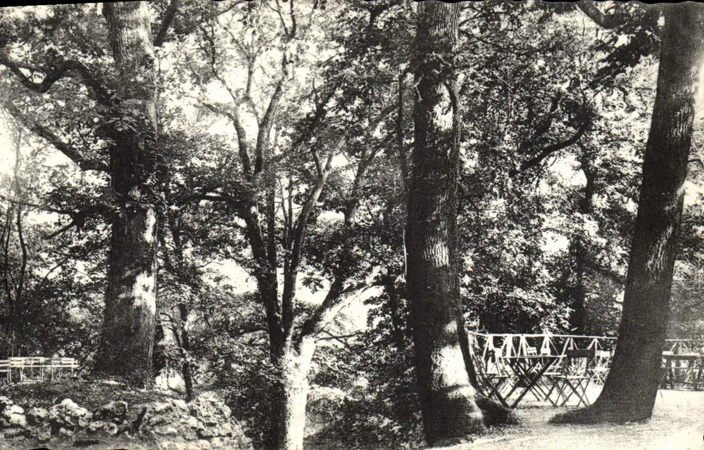 Les Terrasses von der Einfahrt zu den Höhlen gesehen — ARCY-sur-CURE (Yonne) — Édition d'Arcy-sur-Cure - Vorderseite