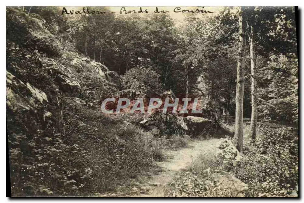 Avallon - Margens do Cousin — vista de trilha florestal - Frente