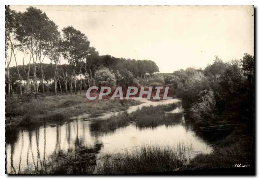 Margens do Armançon — Tonnerre (Yonne) — Foto O. Mazon - Frente