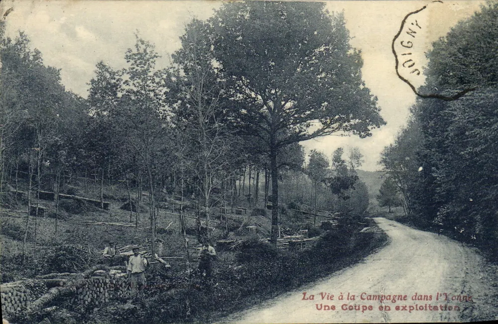 Das Leben auf dem Lande in der Yonne — Eine Holzschlagstelle — Verlag: A. P. L. Paris - Vorderseite