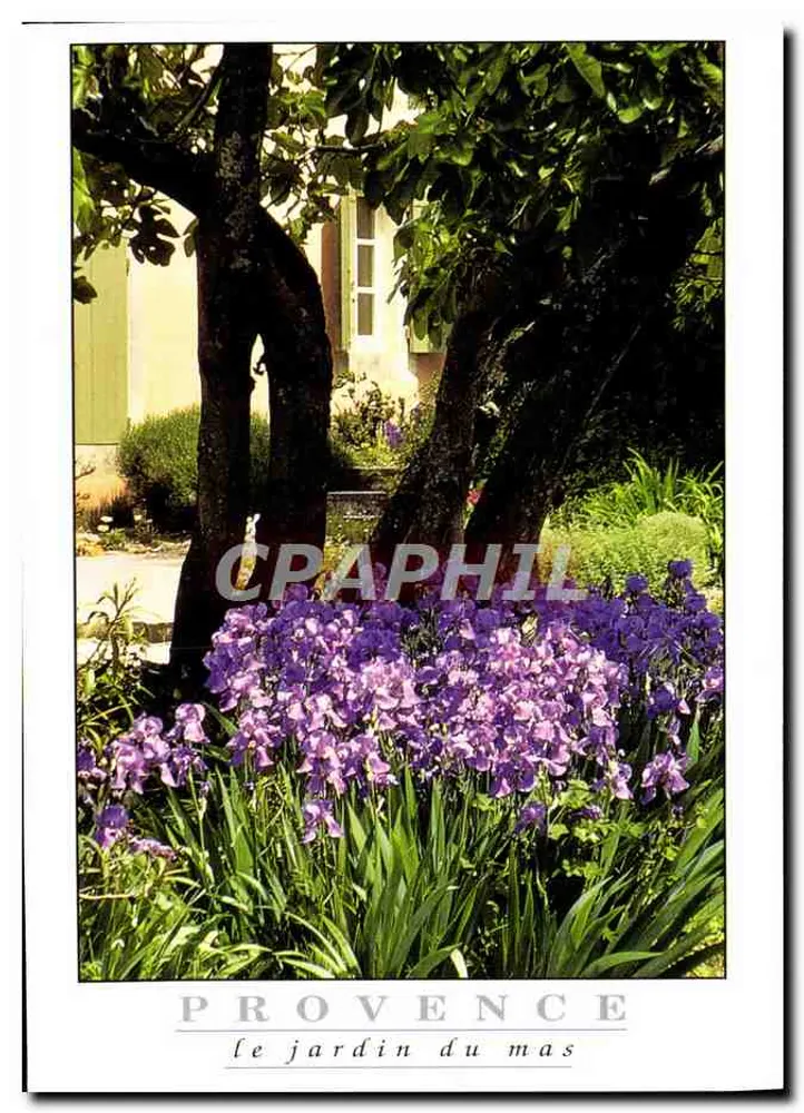 Provence — o jardim do mas — Images de Provence - Frente