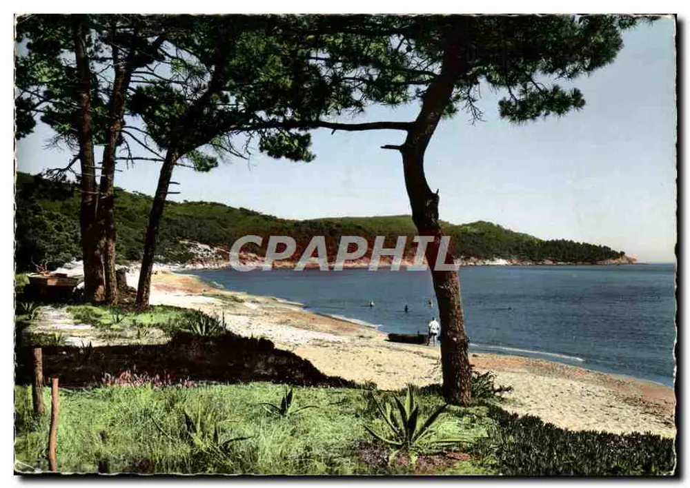 Gigaro Beach, im Hintergrund: Cap Lardier — Côte d'Azur (Var) — Auswahl Imp. S.E.P.T. 35, Bar-berella - Reproduktion verboten - Vorderseite