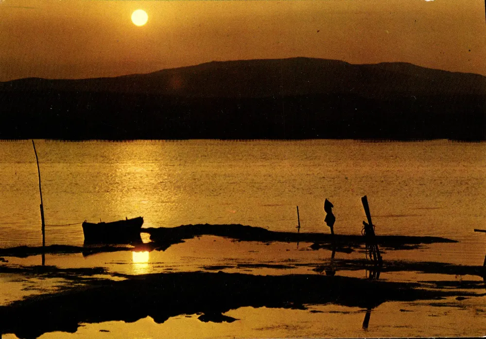 Coucher de soleil sur la Méditerranée — Société Gouleurs Naturelles, n° 22.807 - Recto