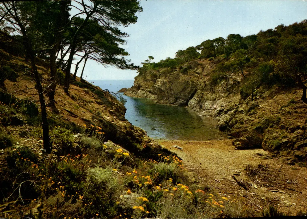 Calanque — Mittelmeer mit wolkenlosen Ufern — Éditions de France - Vorderseite