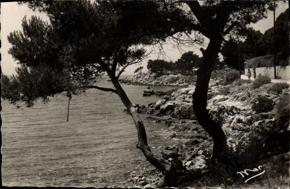 BANDOL (Var) - Unterholz und Küste von Capelând — Photographie de Mire - Vorderseite