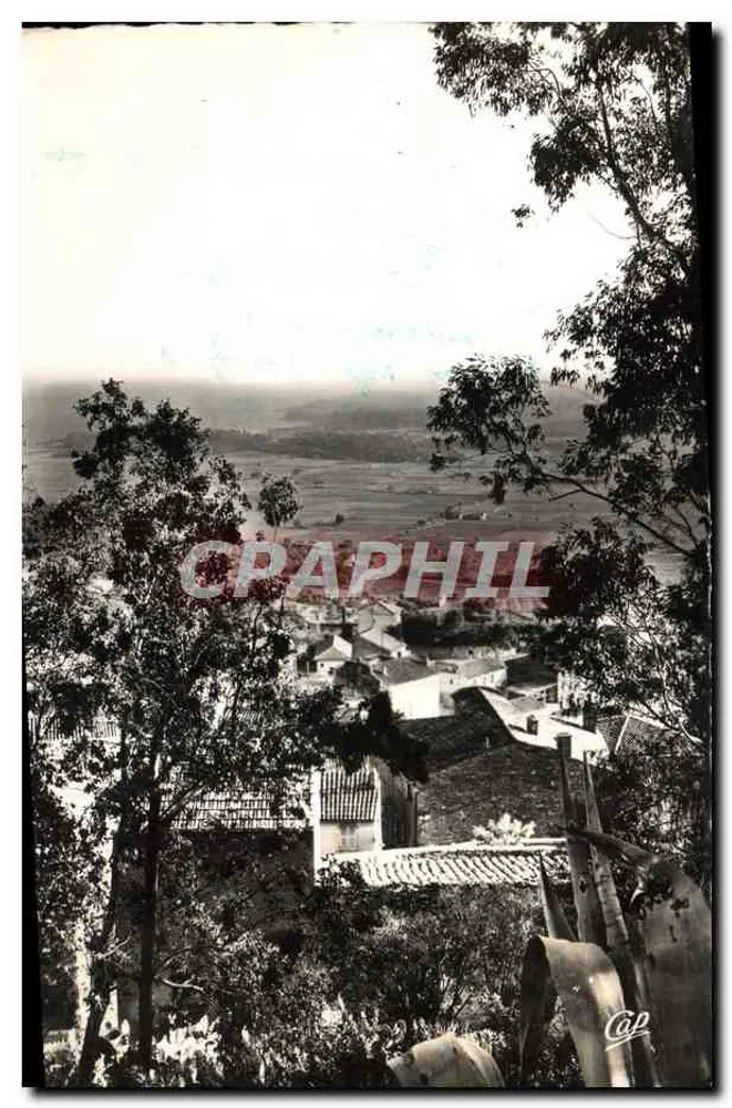 Vue prise du Château vers les Îles d'Or — Bormes-les-Mimosas — éditeur Réal-Photo - Cie des Arts - Vorderseite