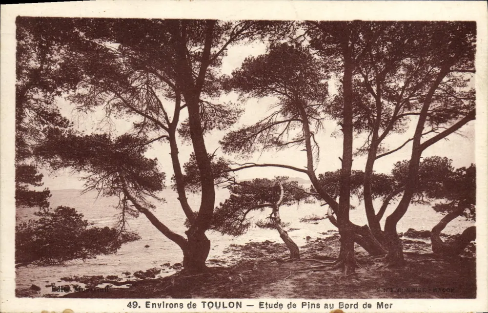 Umgebung von TOULON — Kiefernwälder am Meer — Verlag: P. DUMBLIER - BRACON - Vorderseite