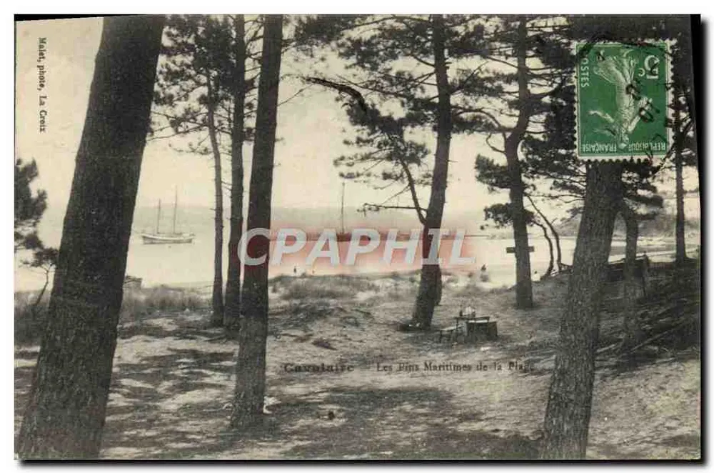 Cavalaire — I Pini Marittimi della Spiaggia — Néa, foto, La Croix - Recto