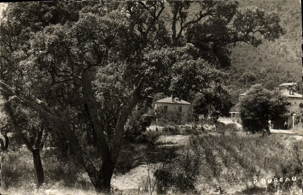 Dorf La Ciotat — Ansicht des Hauses von Paul Bureau — Verlag P. BUREAU - Vorderseite