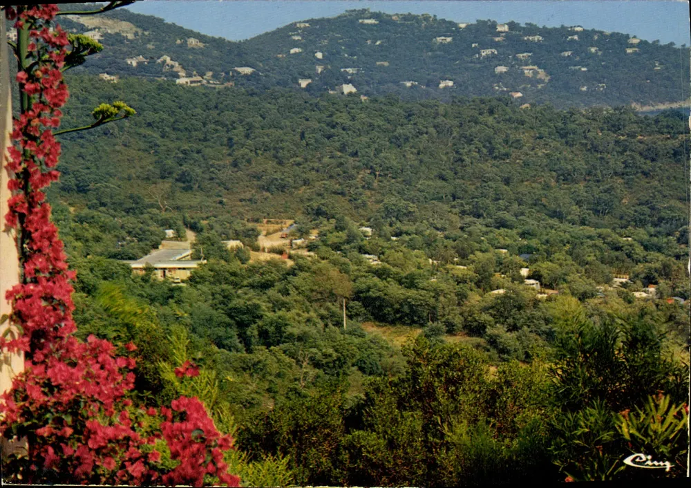 Cavalière-sur-Mer — Allgemeiner Blick auf den Campingplatz Mimosas — Cing - Vorderseite