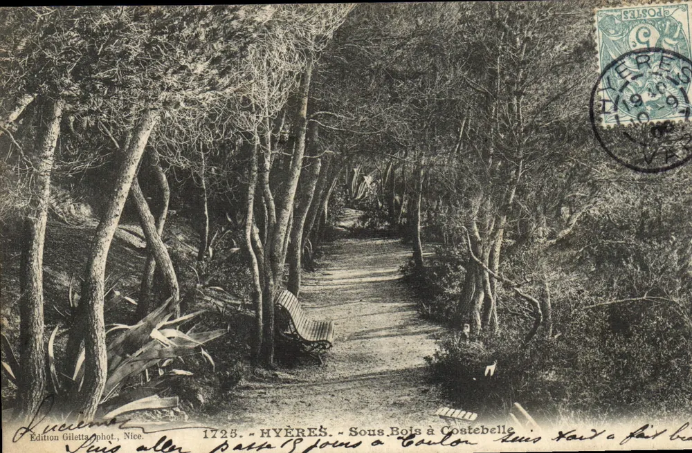 Hyères - Sob os Bosques em Costebelle — Edição Giletta fot., Nice, n° 1725 - Frente