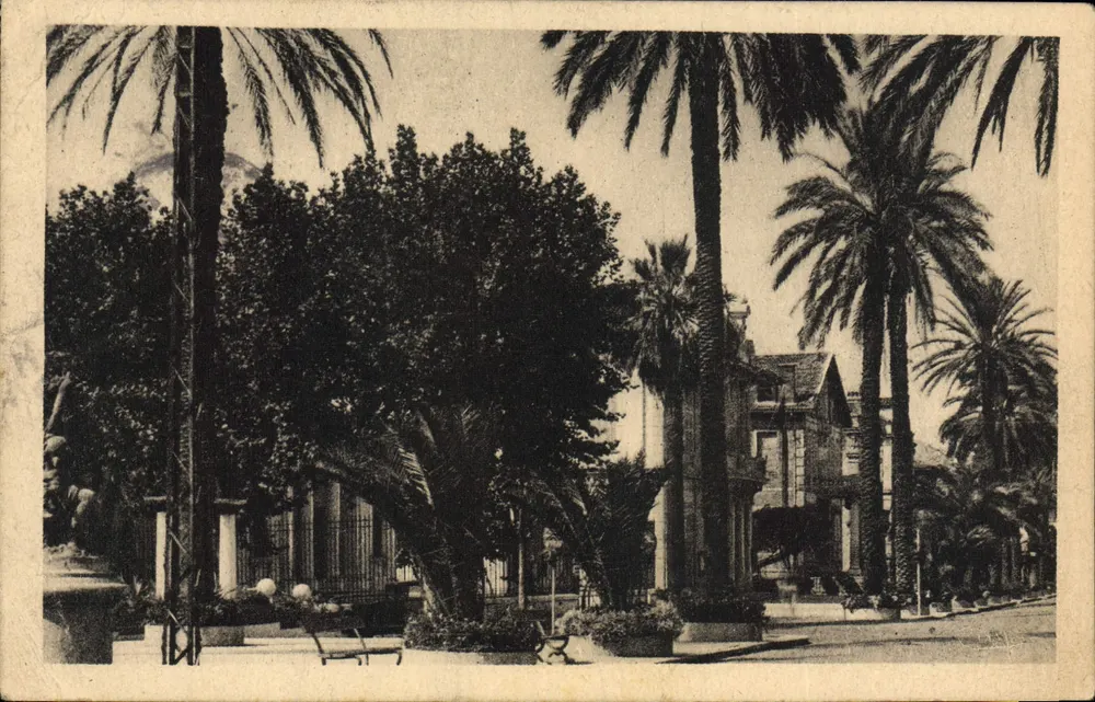 Hyères-les-Palmiers — Avenue de Belgique — Verleger nicht sichtbar - Vorderseite