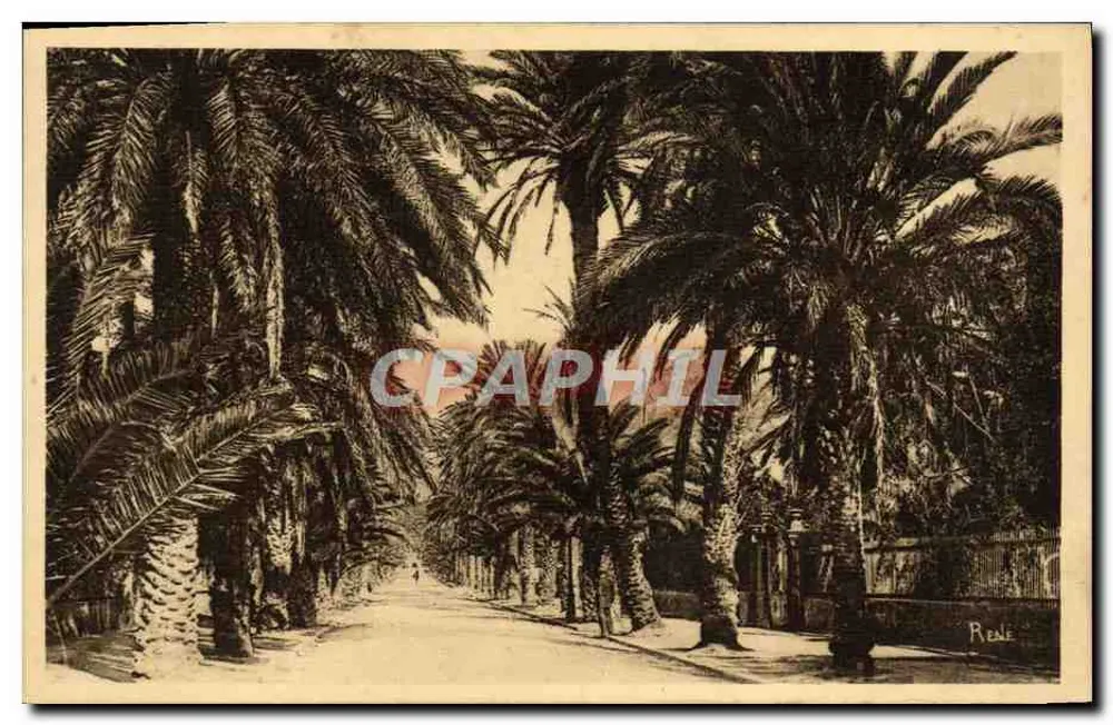 Hyères-les-Palmiers — Avenue Godillot — Verlag H. J. Bagarry Fils et Cie - Vorderseite