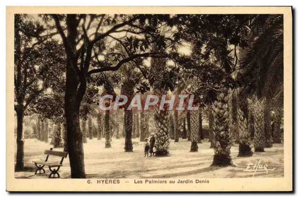 Hyères — Ansicht der Palmen im Garten Denis — Verlag Hue - Vorderseite