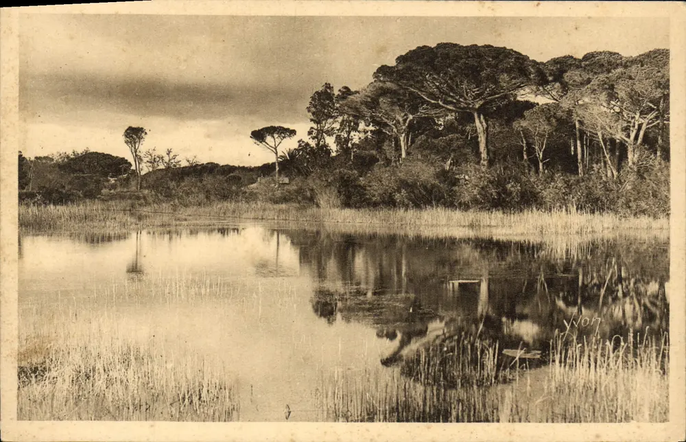 Hyères - Landschaft am Strandweg — Les Éditions d'Art YVON, Paris, n°19/336 - Vorderseite