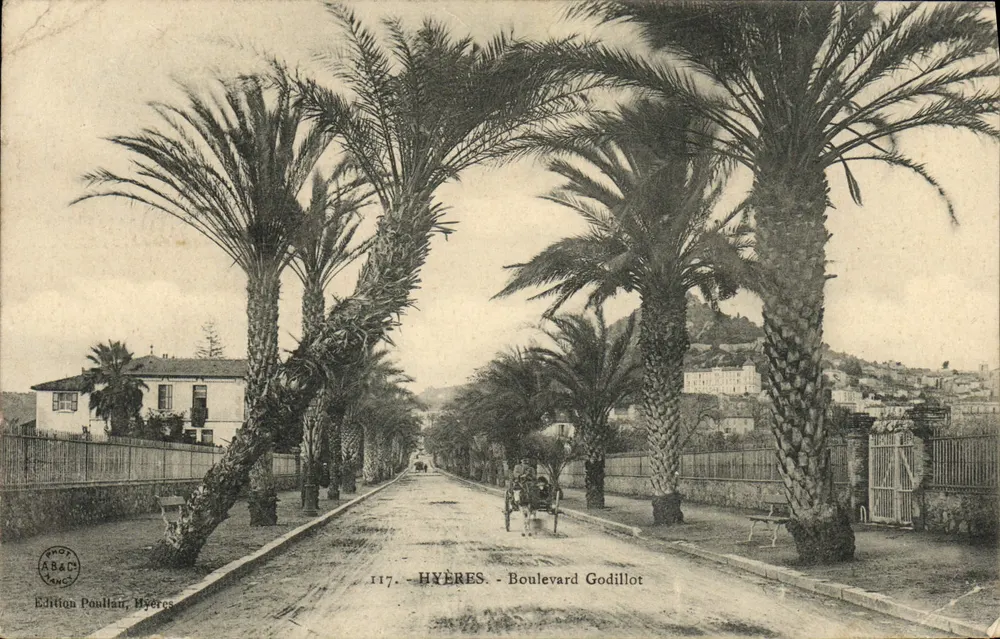 Hyères - Boulevard Godillot — allée de palmiers bordant une route avec calèche — Édition Poullain, Hyères, n° 117 - Frente