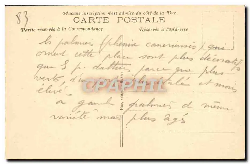 Hyères — Praça Théodore-Lefebvre — vista de palmeiros - Verso