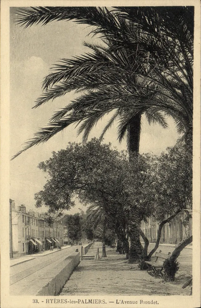 Hyères-les-Palmiers — Avenue Riondet — Verlag: Rue Riondet, n°33 - Vorderseite
