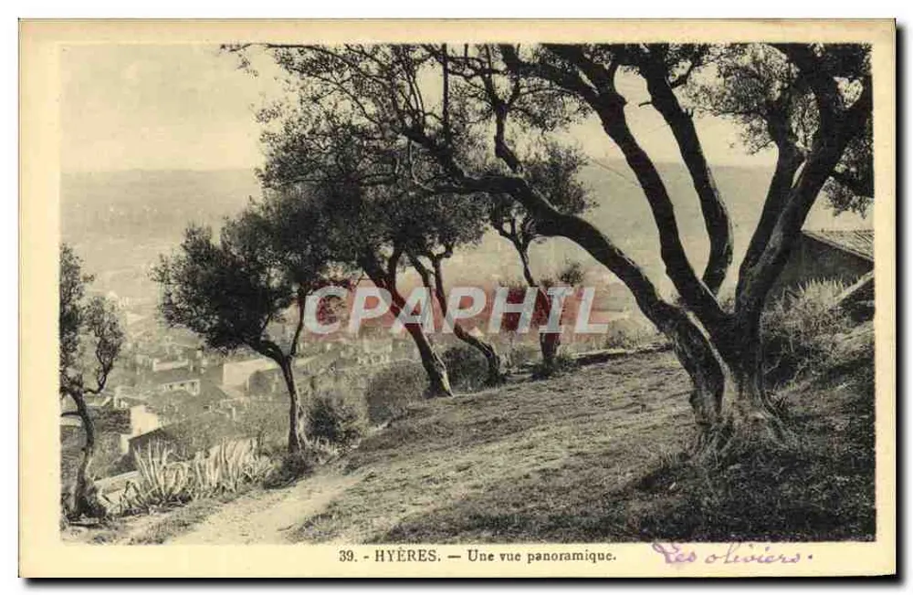 Hyères — Uma vista panorâmica — Os oliveiros — Huc, editor de Hyères, n°39 - Frente