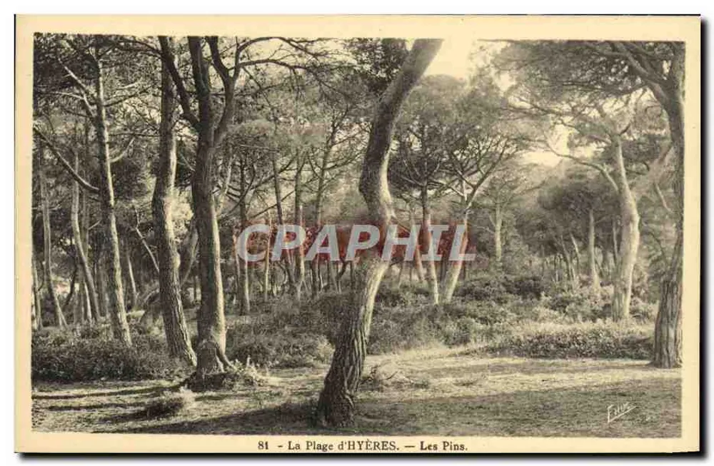 A Praia de Hyères — Les Pins — Editor Hue, n°81 - Frente