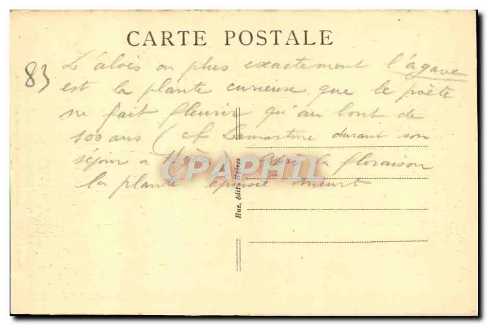 Hyères — Aloès em flor, boulevard d'Orient — editor H. Hue, n° 134 - Verso