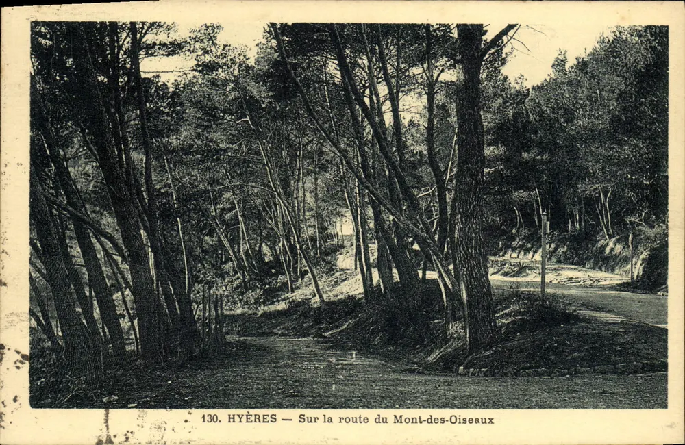 Hyères — Auf der Straße zum Mont-des-Oiseaux — n°130 - Vorderseite
