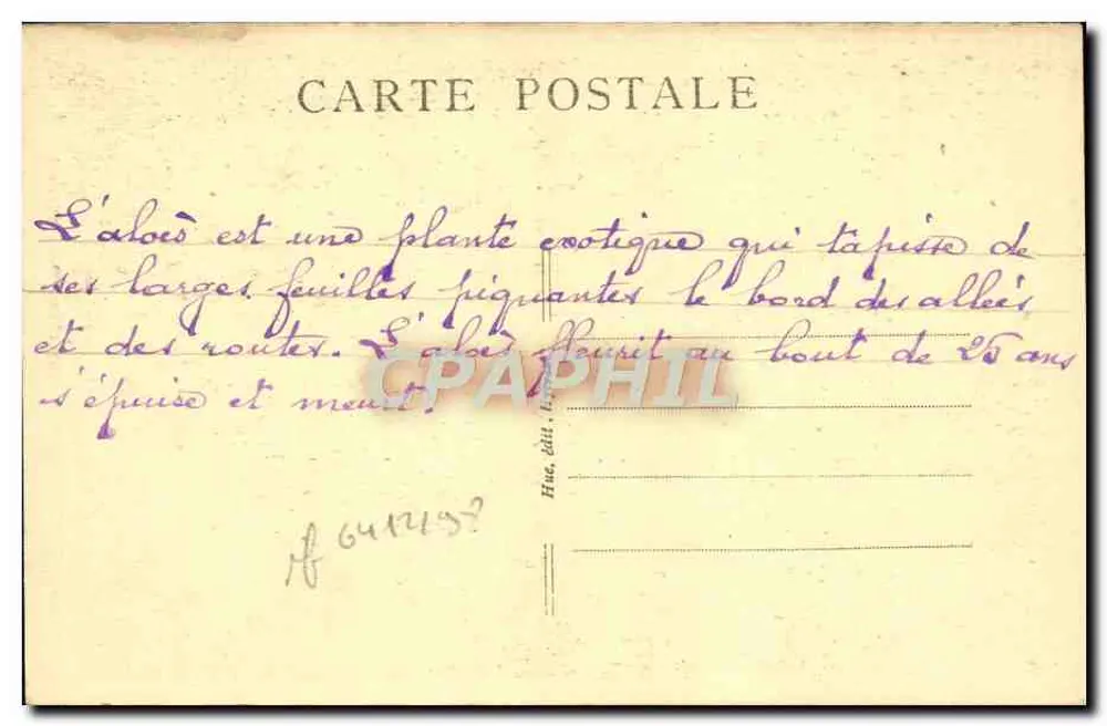 Hyères — Aloe em flor, boulevard d'Orient — n°134 - Verso