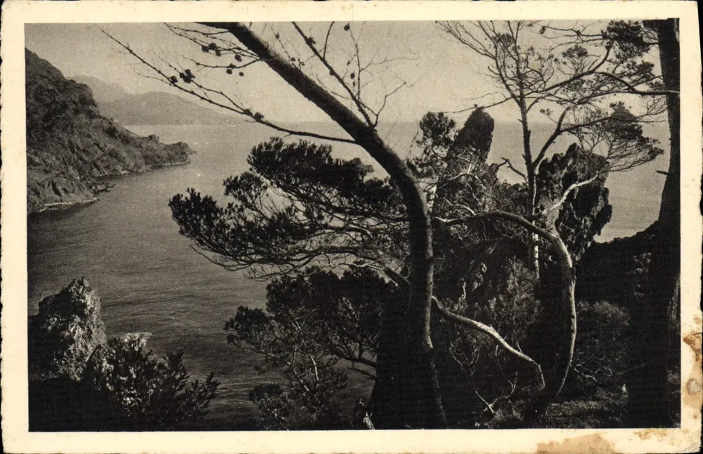 La Corniche d'Or vers Agay — vue panoramique de la côte avec pins et falaises — éditeur Braun & Cie, Imp. Malhouse-Dornach - Frente