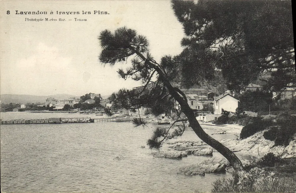 Lavandou através dos Pinheiros — Fototipia Marius Bar — Toulon - Frente