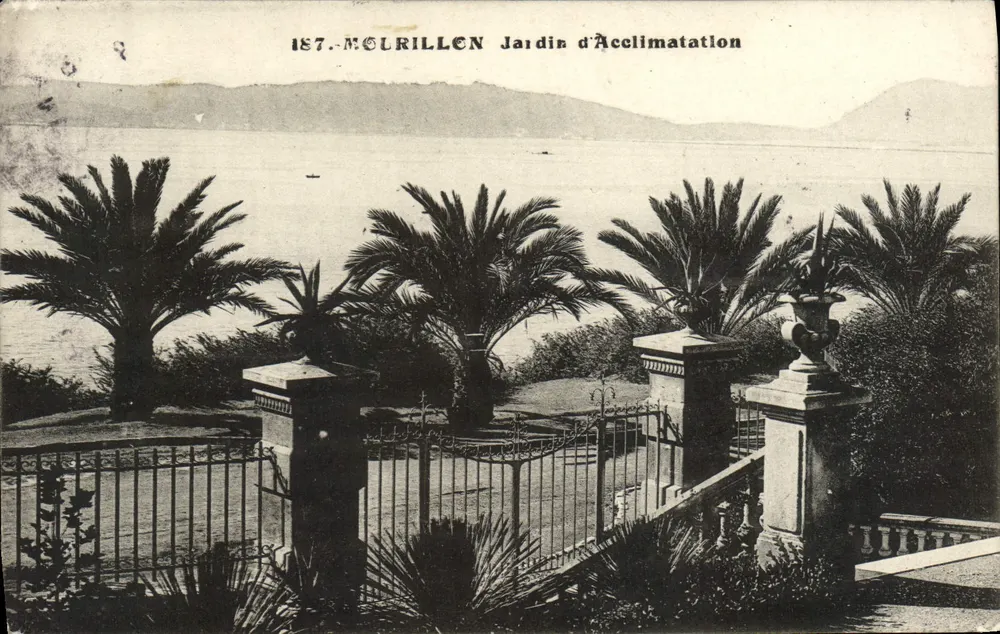 Ogród Aklimatyzacyjny — Montpellier — wydawca McLurillon, n° 187 - Awers