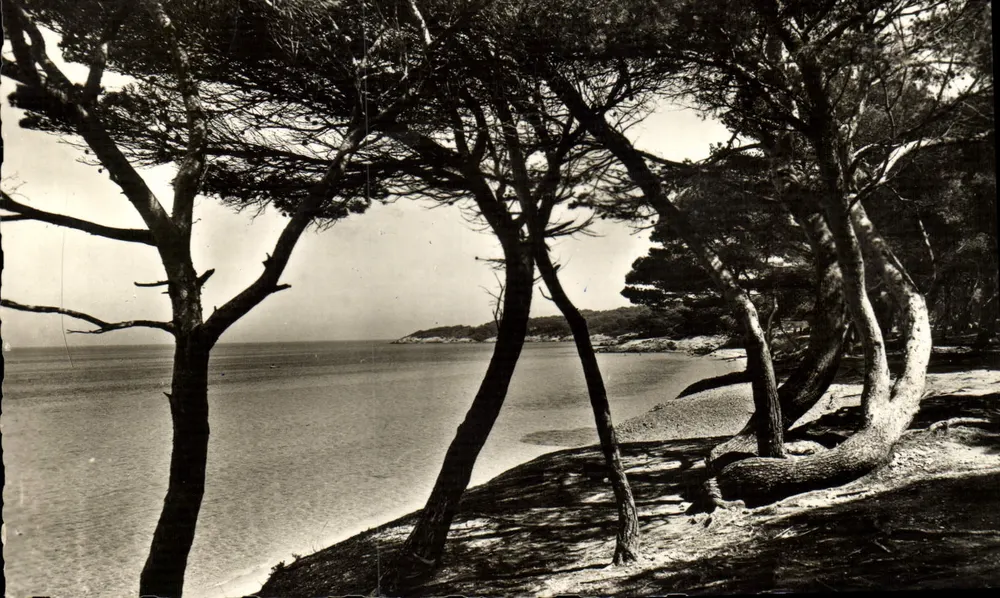 Strand von Courtade — Insel Porquerolles — Éditions RTYNER - Vorderseite