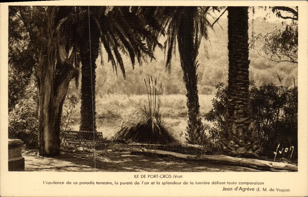 Ilha de Port-Cros (Var) — paisagem tropical com palmeiras e banco — editor E. M. de Vogüel, n° 1017 - Frente