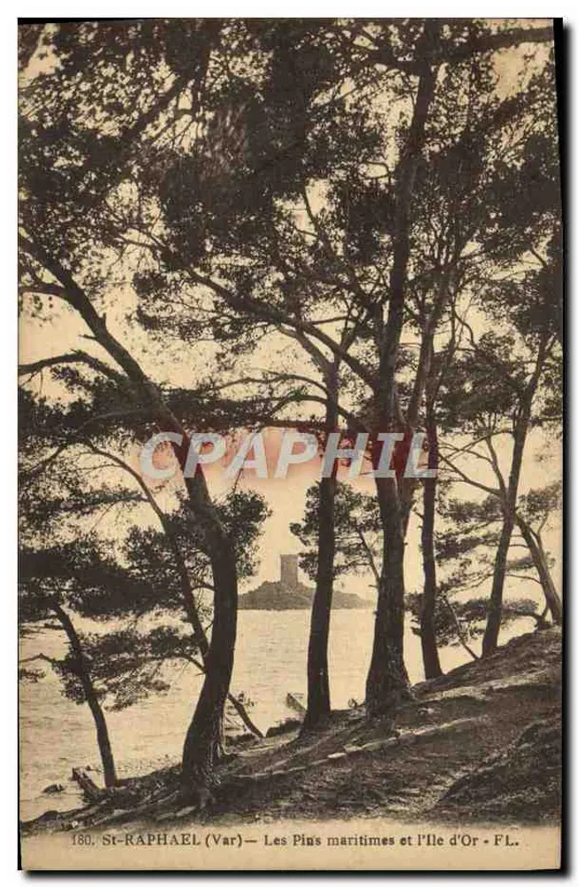 St-RAPHAEL (Var) — Los Pinos Marítimos y la Isla de Oro - FL. - n°180 - Anverso