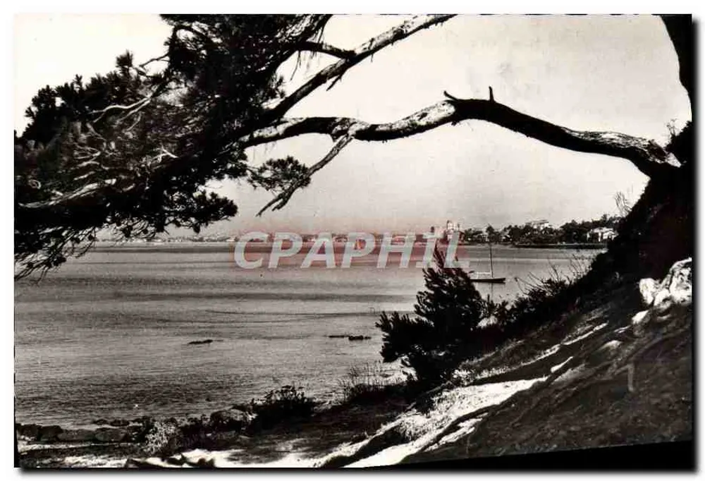 Ausblick auf die Stadt und den Golf von Fréjus — Saint-Raphaël — Editions E.P.T. — n° 62-2 - Vorderseite