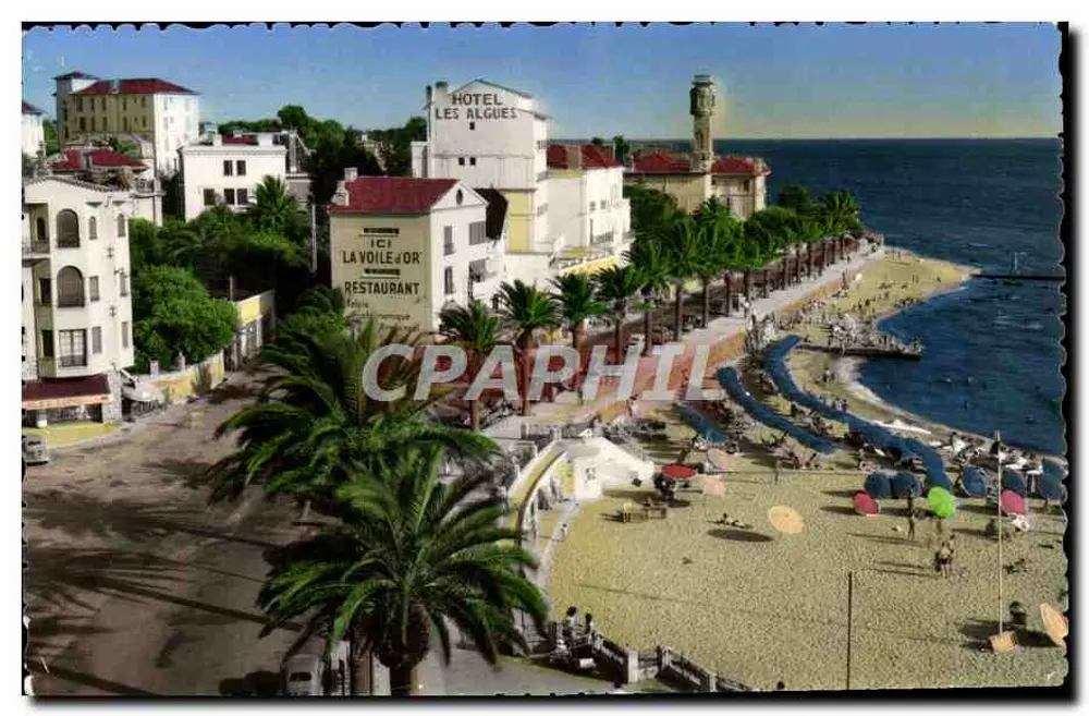 Saint-Raphaël — Ansicht der Strand und Hotel Les Algues — Edit. AJAX - Vorderseite