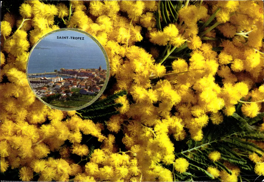 Saint-Tropez — vista do porto enquadro — carta perfumada Vallazur - Frente