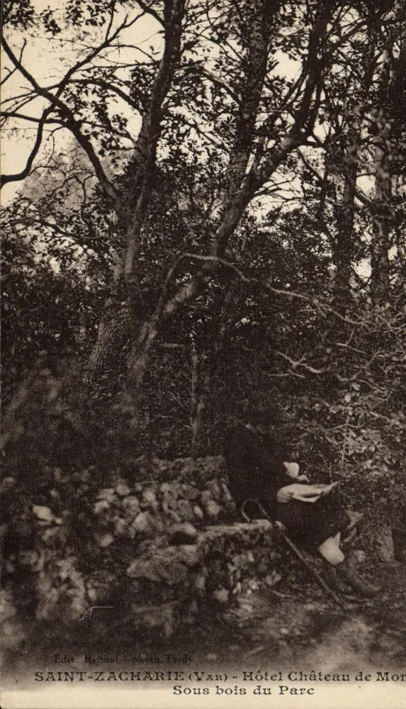 Saint-Zacharie (Var) — Hotel Schloss Montparc unter den Bäumen des Parks — Foto Tardi - Vorderseite