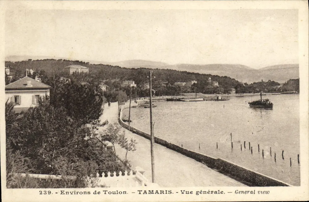 Tamaris — Umgebung von Toulon — Allgemeine Ansicht — Nr. 239 - Vorderseite