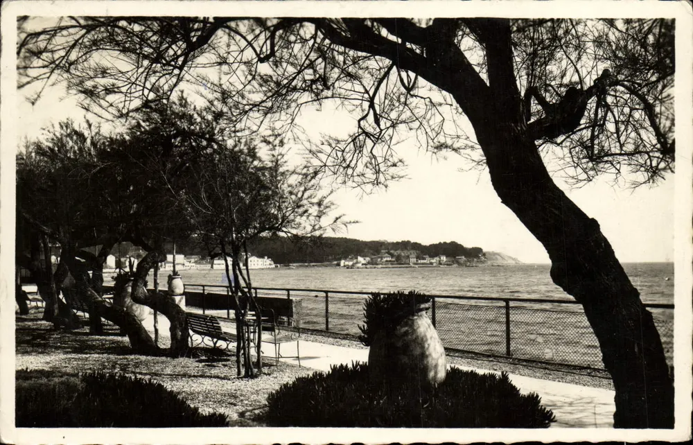 Arredores de Toulon (Var) — Linda Vista para as Sablettes — editor COATIEREAMP, n° 6456 - Frente