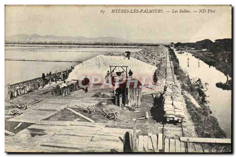 Hyères-les-Palmiers — Les Salins — ND Phot. - Frente