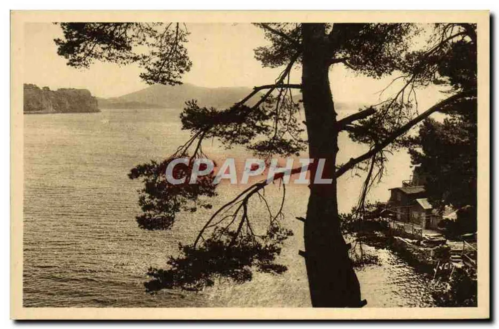 Anse de Magaud — Toulon (Var) — Les Éditions d'Art XVON - Frente