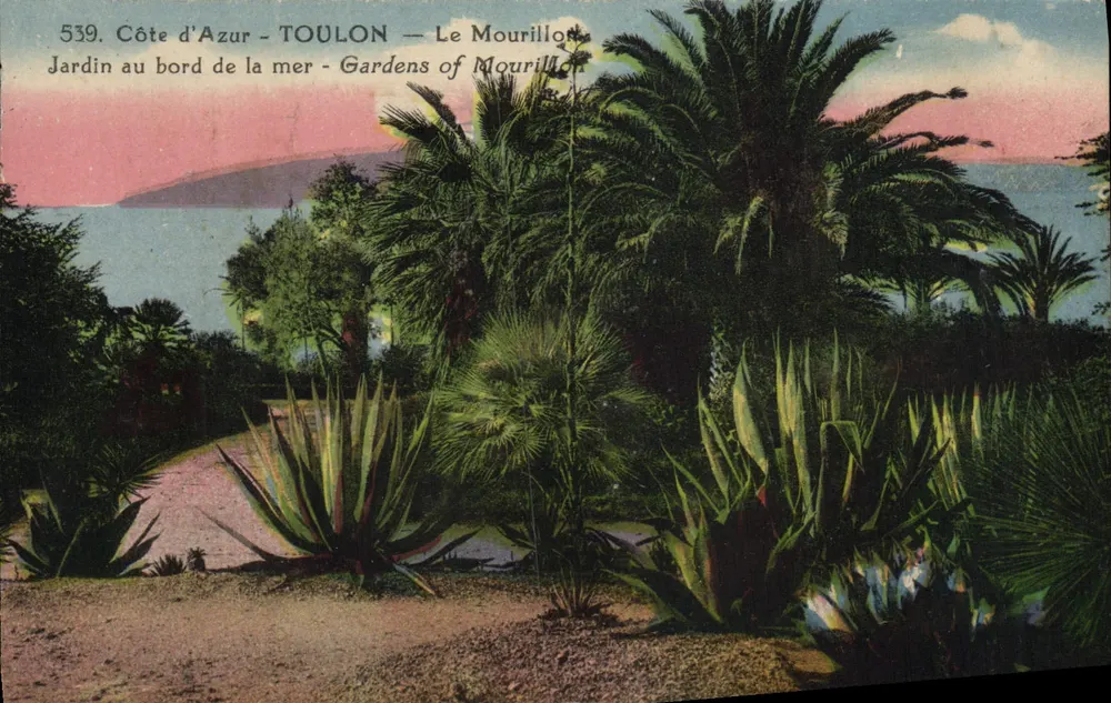 Côte d'Azur - TOULON - Le Mourillon — Garten am Meer — unbekannter Verlag, Nr. 539 - Vorderseite