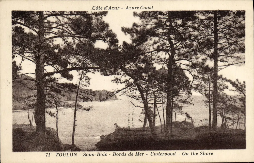 Toulon - Sous-Bois - Bords de Mer - Underwood - On the Shore — Éditeur de la Côte d'Azur, n°71 - Frente