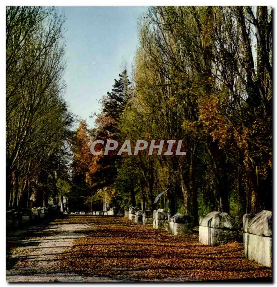 Los Alyscamps - La avenida de los sarcófagos — Necrópolis Gallo-Romana — Editor G. Gandini, Marsella - Anverso