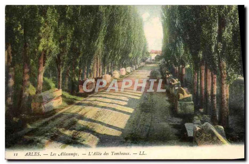Arles — Les Aliscamps — Die Gasse der Gräber — LL - Vorderseite
