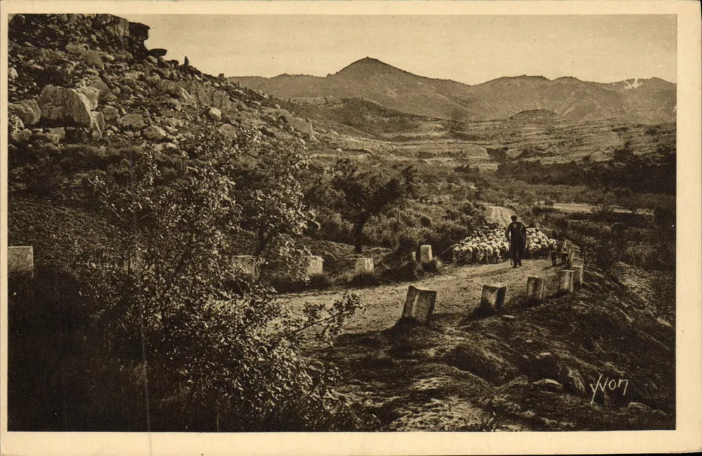 Paisagem montanhosa com pastor e rebanho — editor 'LA DOUCE FRANCE', n°15 - Frente