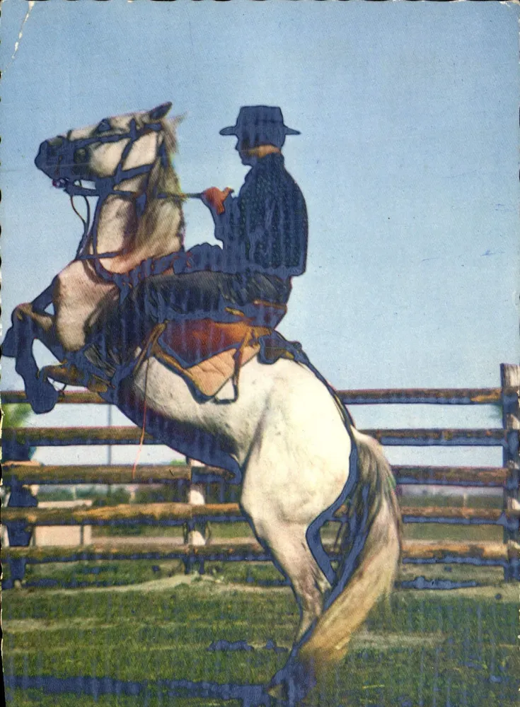 Cavalo selvagem em liberdade — Camargue — Editor Mexichrome - Frente