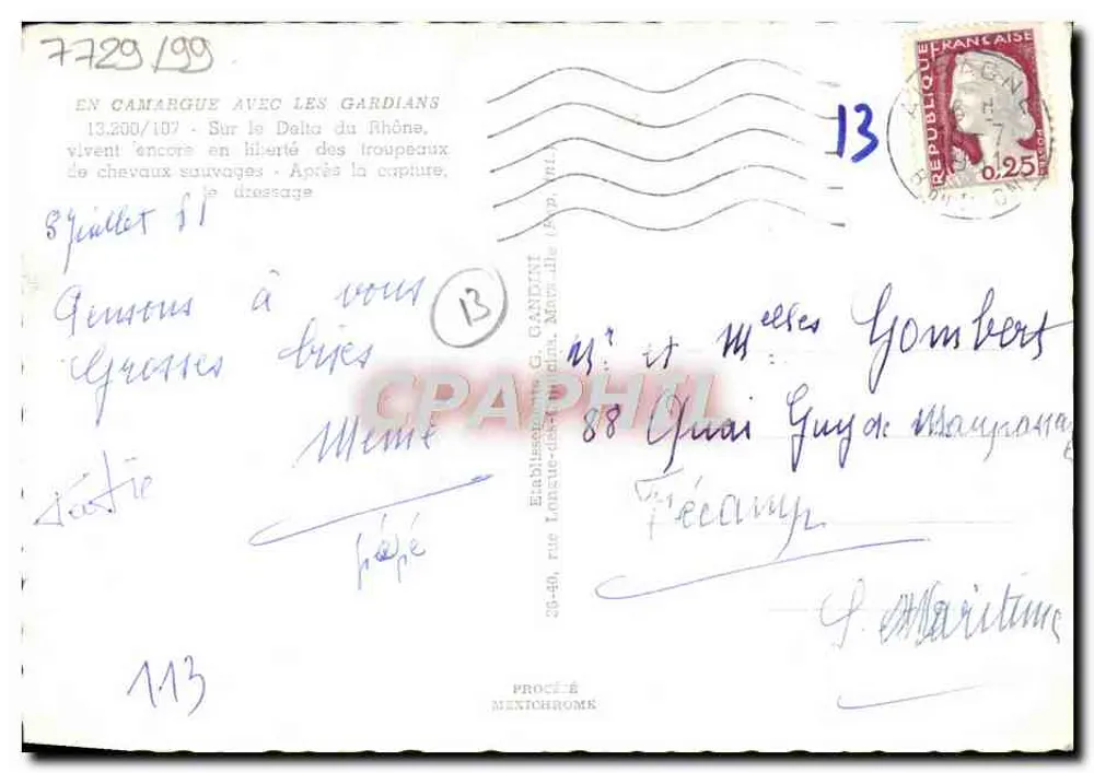 Cavalo selvagem em liberdade — Camargue — Editor Mexichrome - Verso