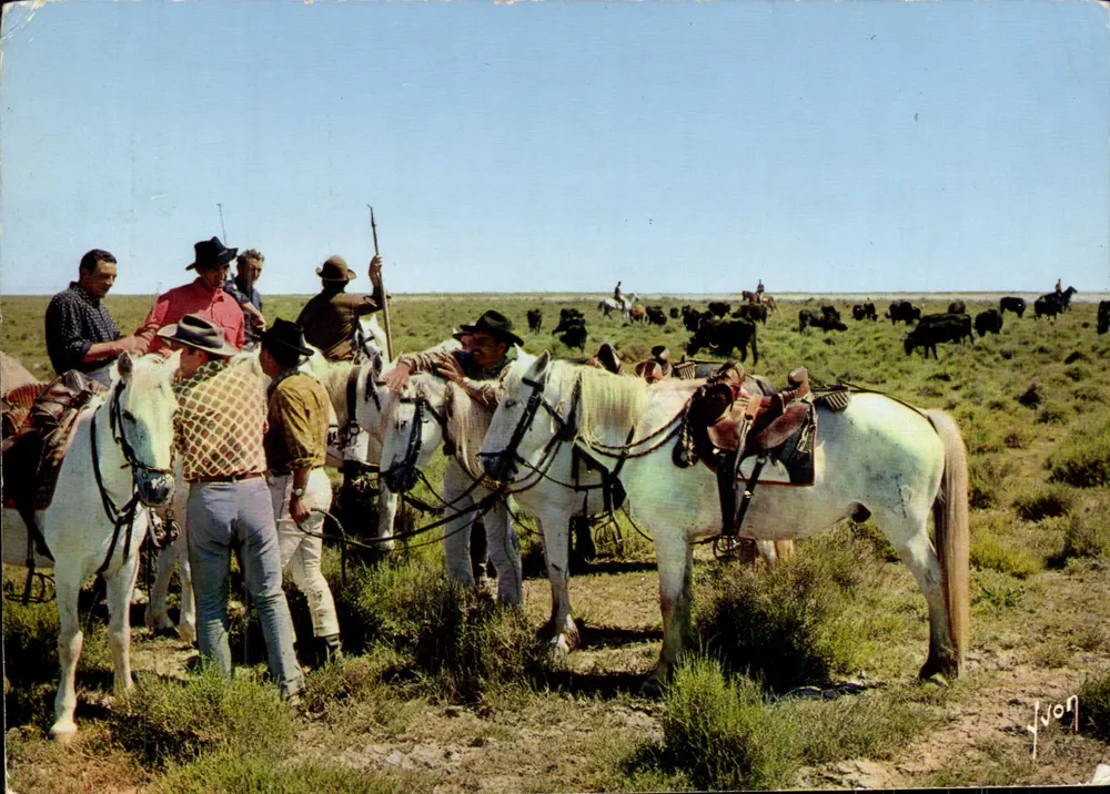 Groep cowboys met witte paarden — Uitgaven J. VYON — n° 6958 - Voorkant